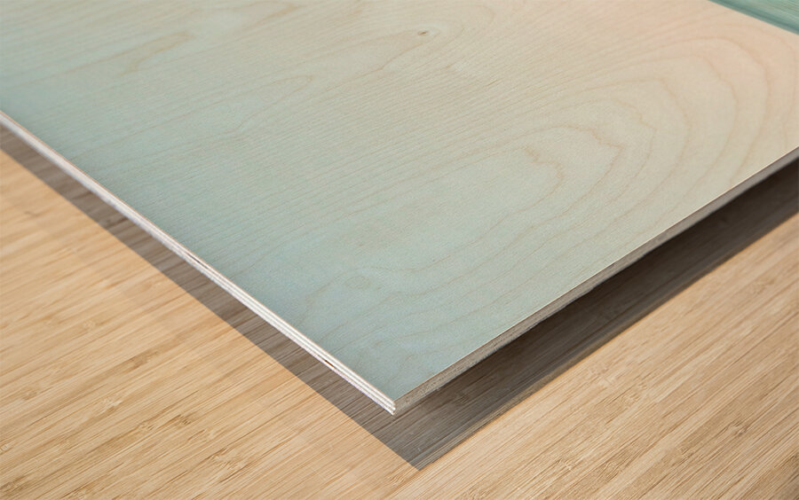 Drift Away Wood print