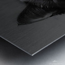 Monochrome Cat Metal print