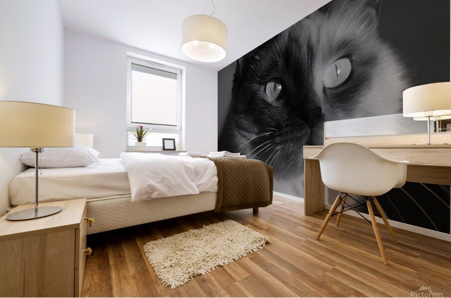 Monochrome Cat Mural print