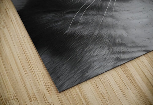 Monochrome Cat Utaamodern puzzle