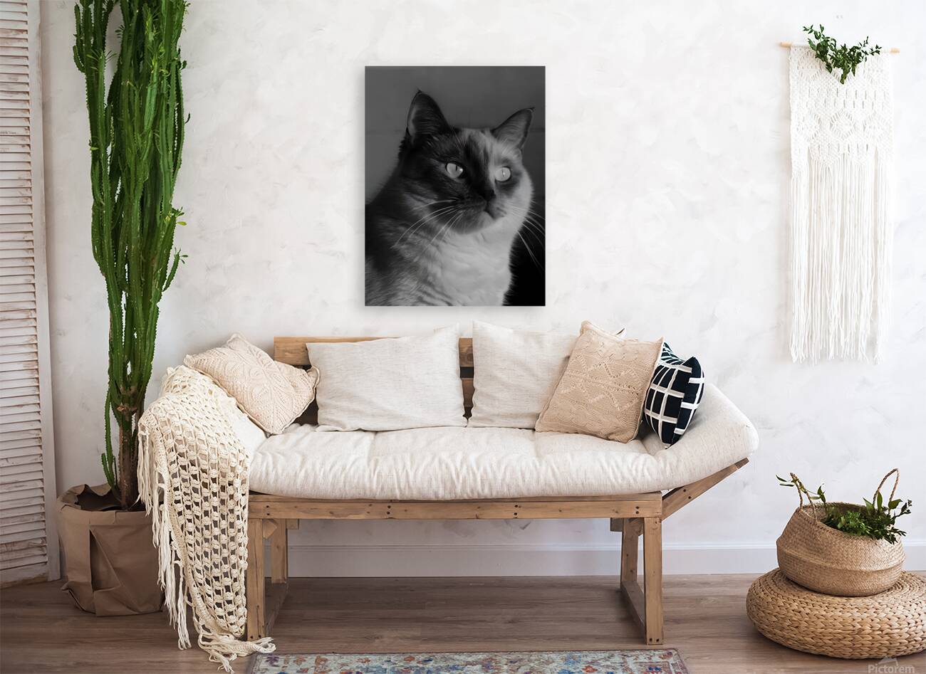 Monochrome Cat Reproduction