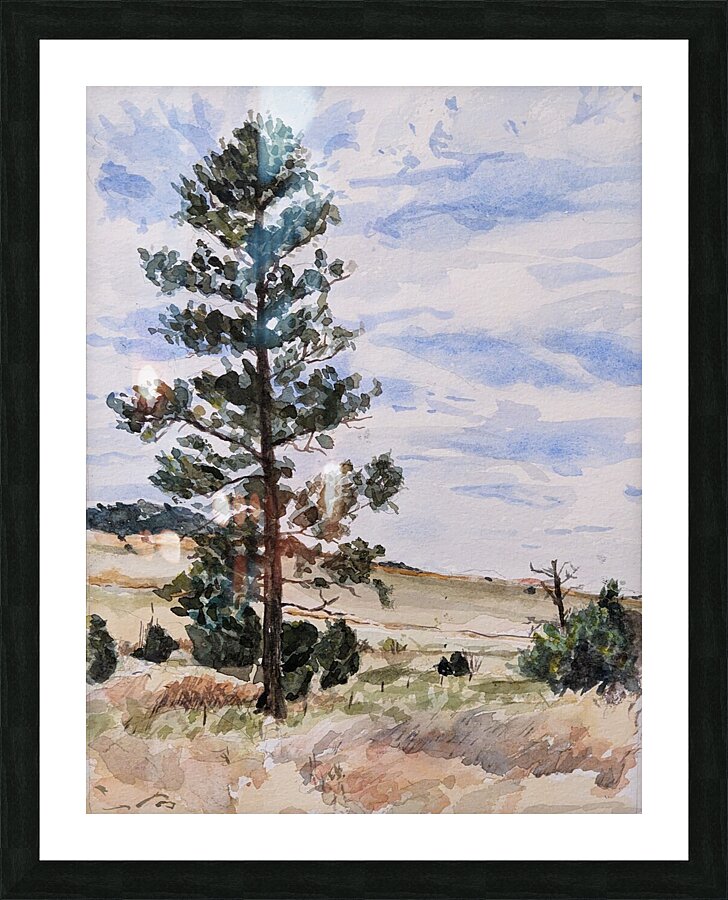 Tall Pine 2022 Picture Frame print