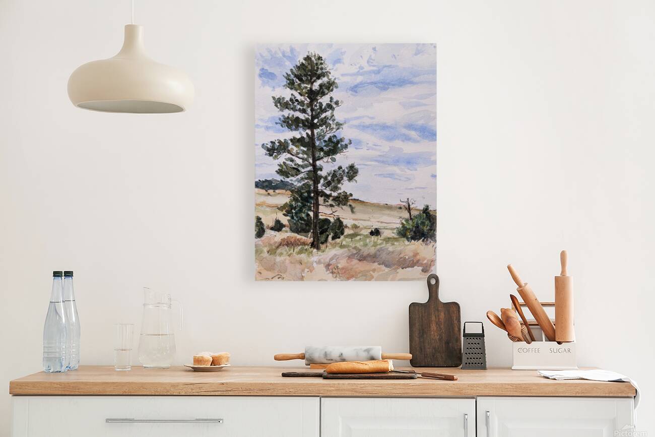 Tall Pine 2022 Reproduction