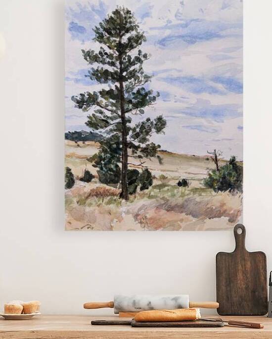 Tall Pine 2022 by Lorn MacIlravie