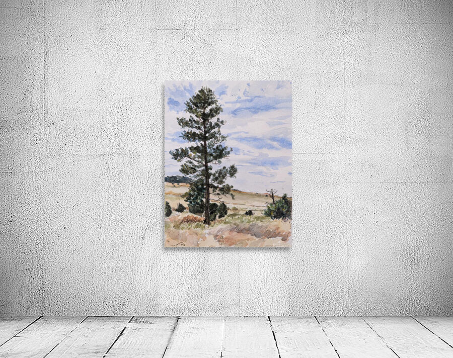 Tall Pine 2022 Wall Preview