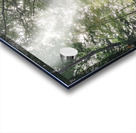 Komorebi Acrylic print