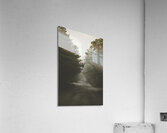 Foggy Road Acrylic Print