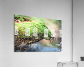 slug 2 Acrylic Print