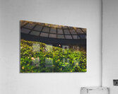 micro mushroom Acrylic Print