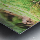 slug 2 Metal print