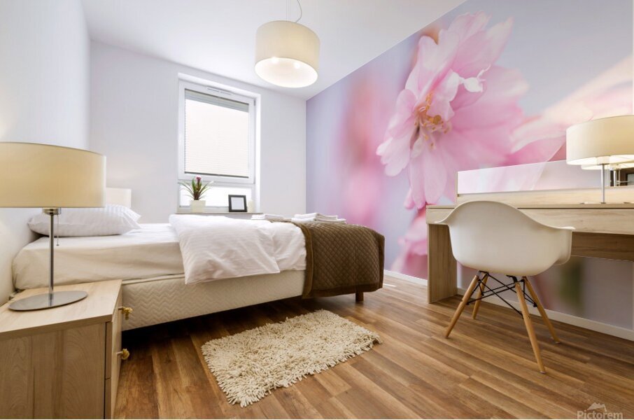 Cherry blossom 1 Mural print