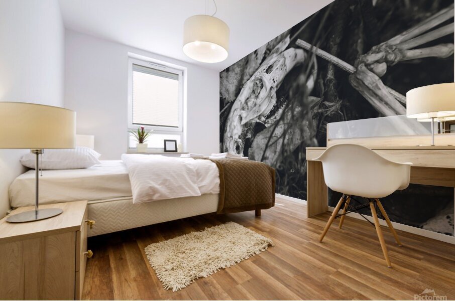 woodchuck Mural print