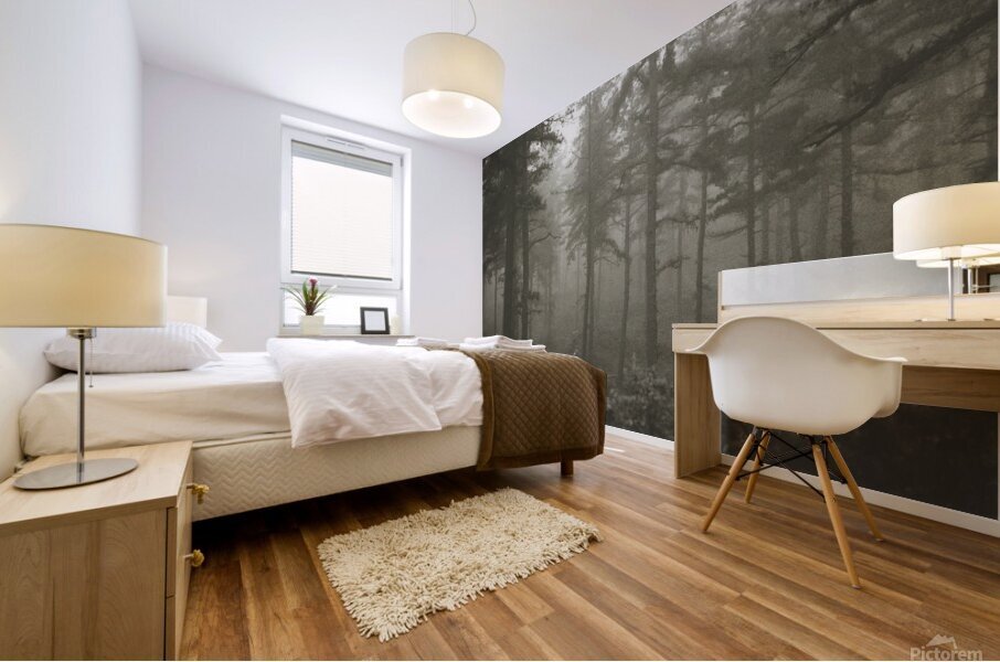 Foggy Forest Mural print