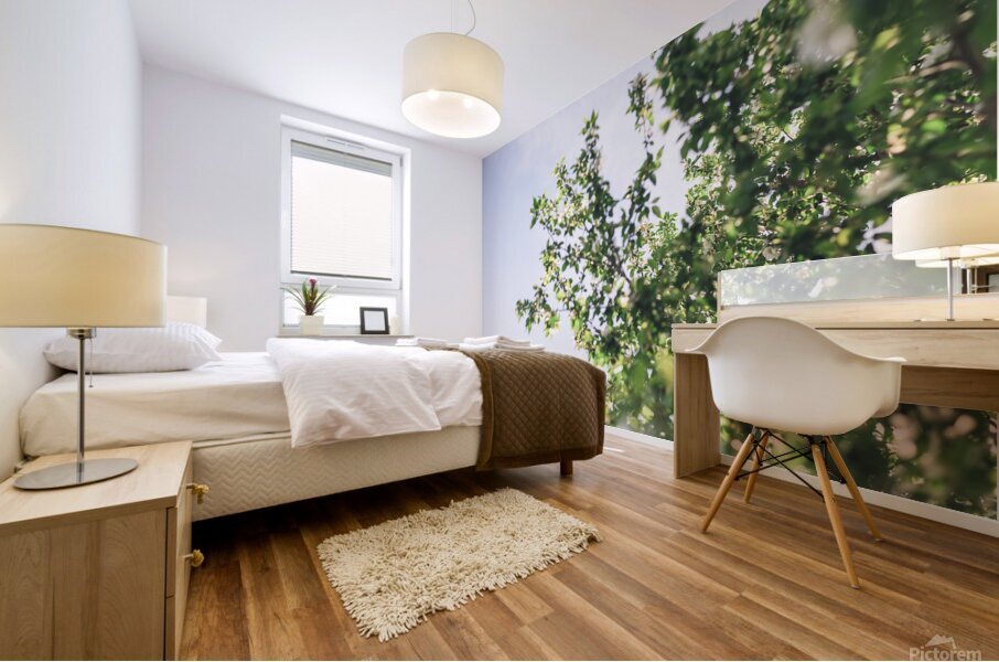  in the trees Mural print