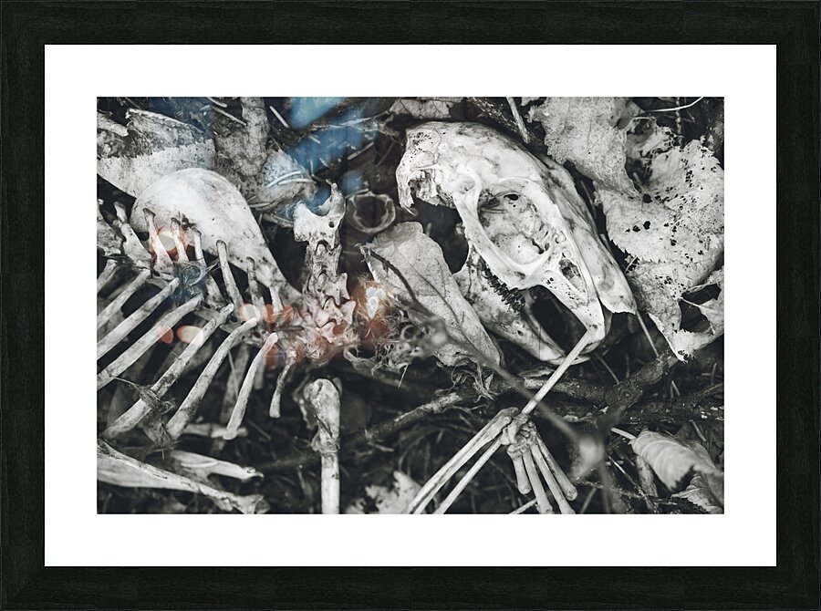 Woodchuck 2 Picture Frame print