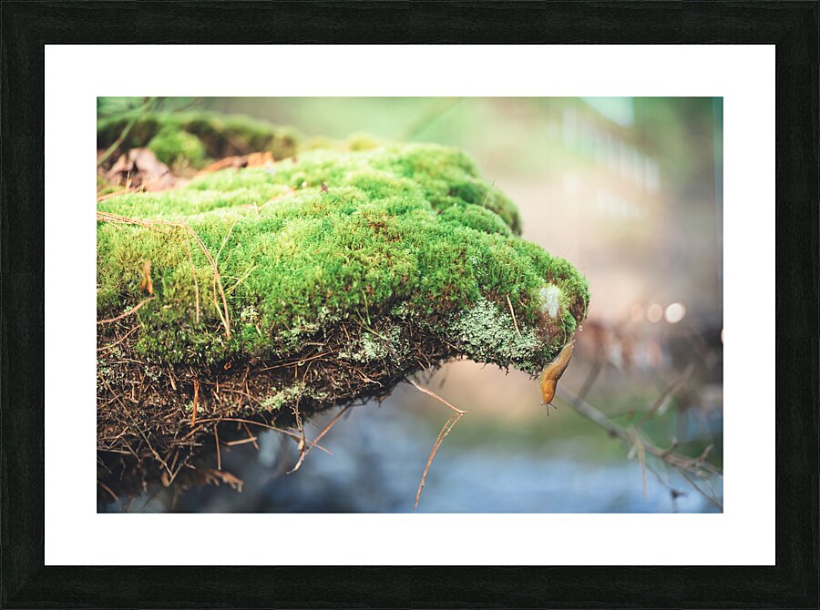 slug 2 Picture Frame print