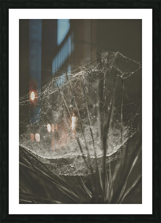 web 1 Picture Frame print