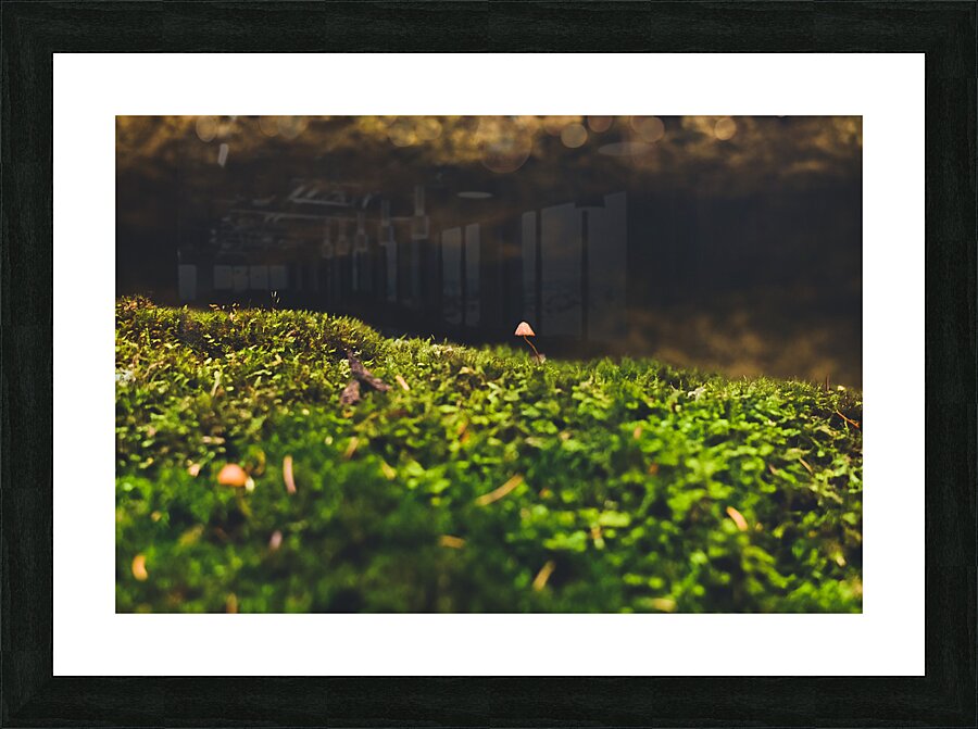 micro mushroom Picture Frame print