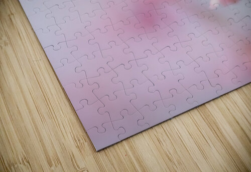 Cherry blossom 1 Amanda Drouin puzzle