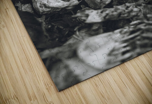 woodchuck Amanda Drouin puzzle