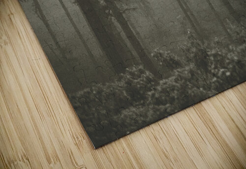 Foggy Forest Amanda Drouin puzzle