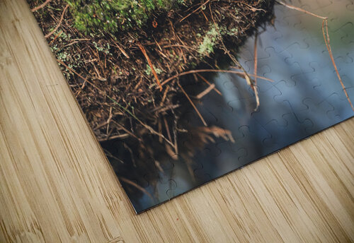 slug 2 Amanda Drouin puzzle
