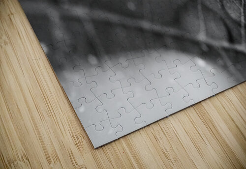 leaf dew Amanda Drouin puzzle