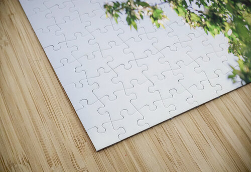  in the trees Amanda Drouin puzzle