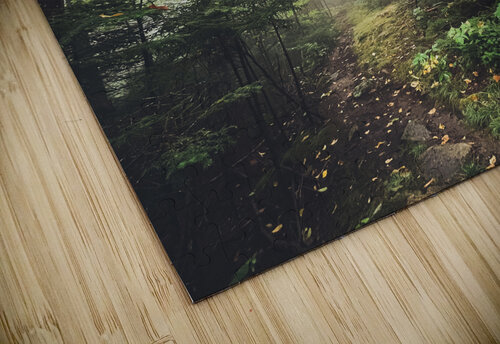 Komorebi Amanda Drouin puzzle