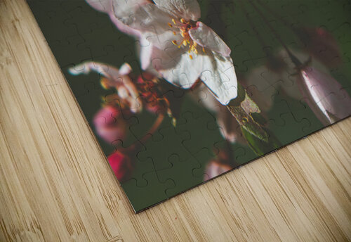 apple blossom Amanda Drouin puzzle