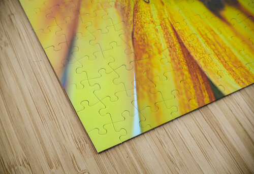 sleepy bees Amanda Drouin puzzle