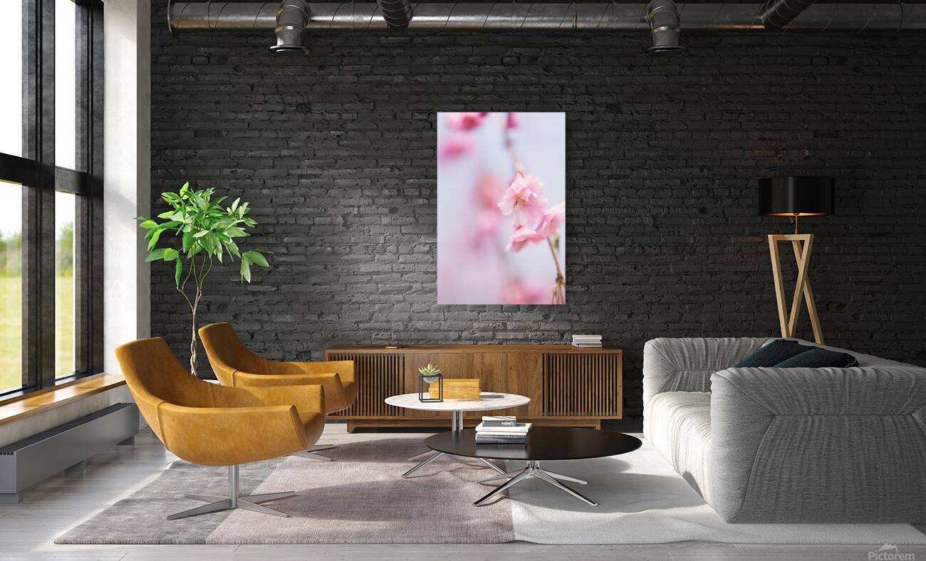 Cherry blossom 1 Reproduction