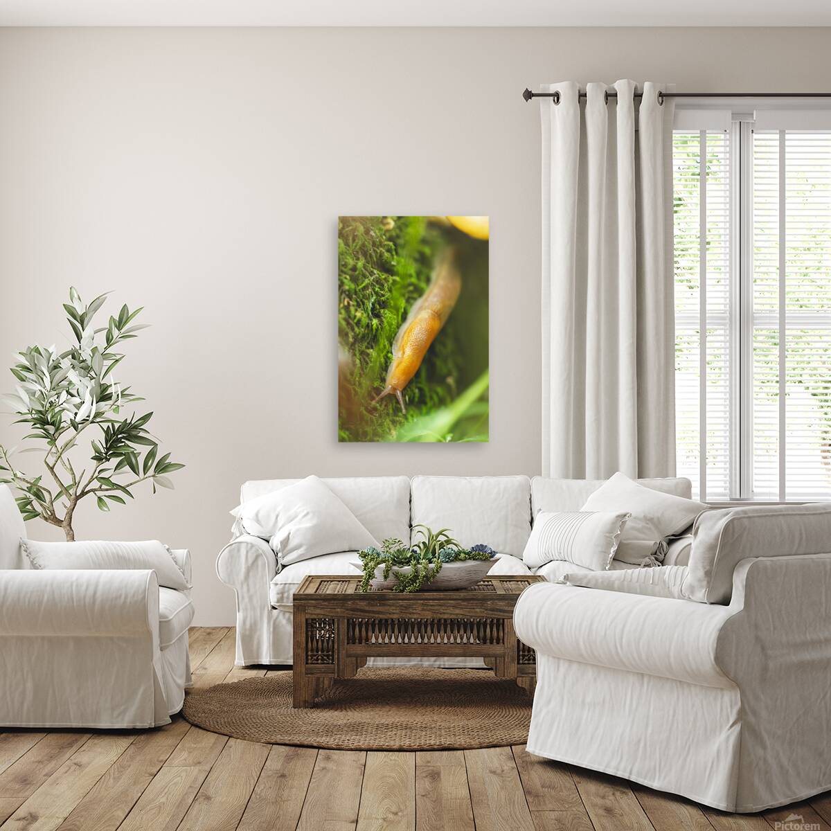 slug 1 Reproduction