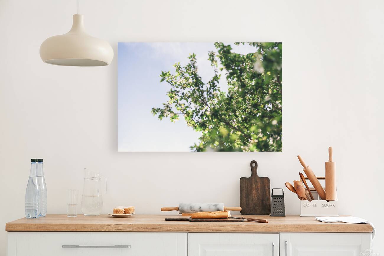  in the trees Reproduction