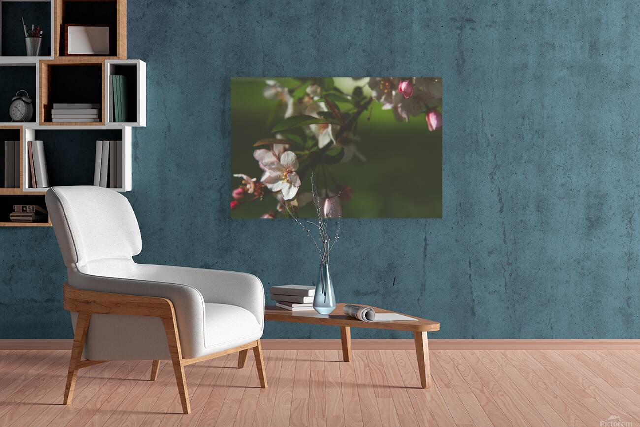 apple blossom Reproduction