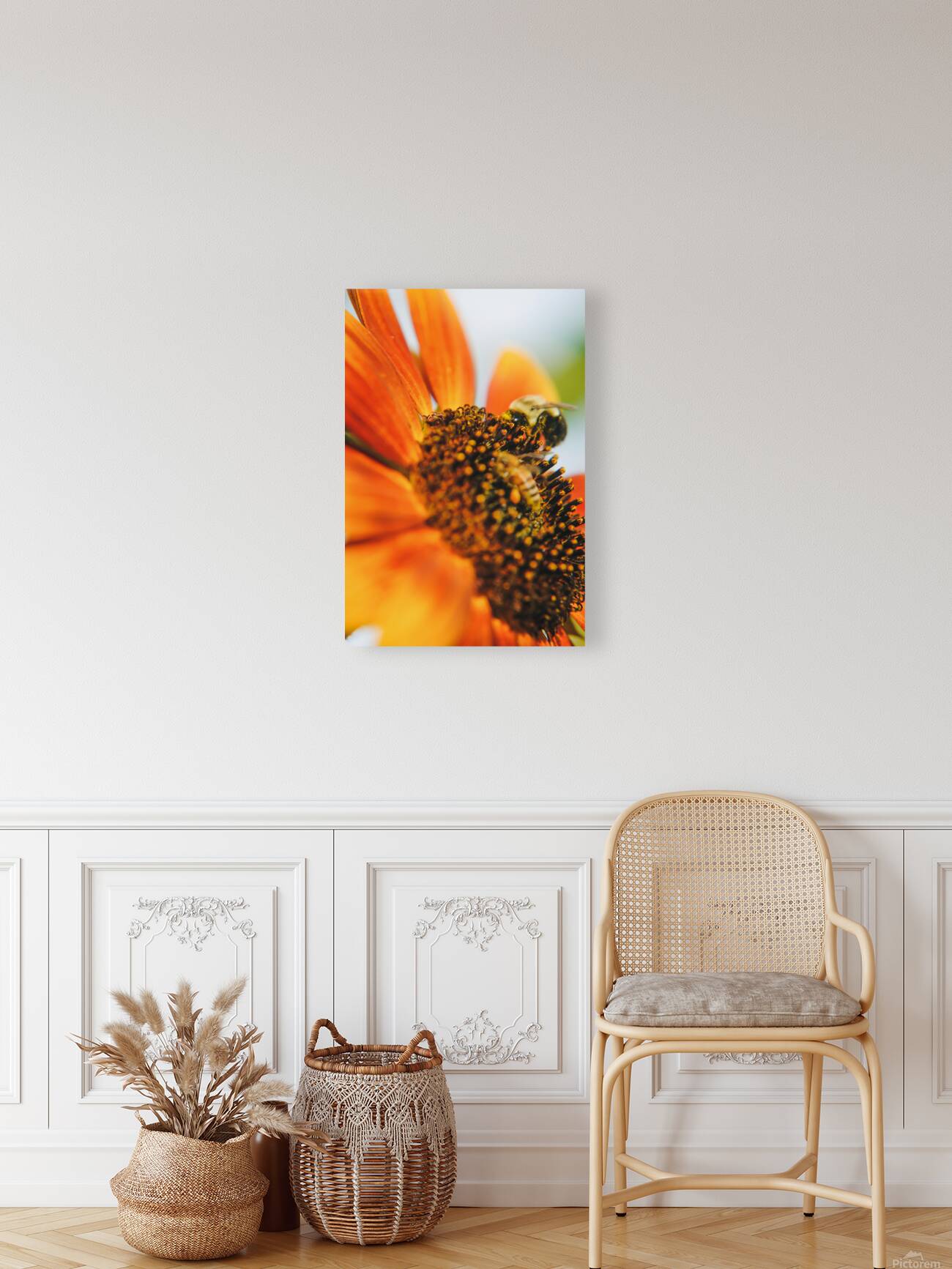 sunflower with bee Reproduction