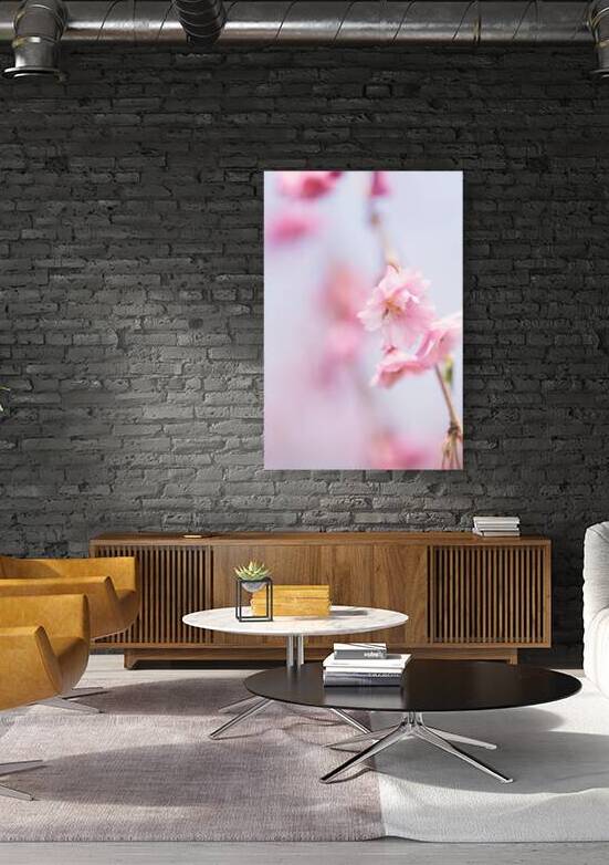 Cherry blossom 1 Reproduction