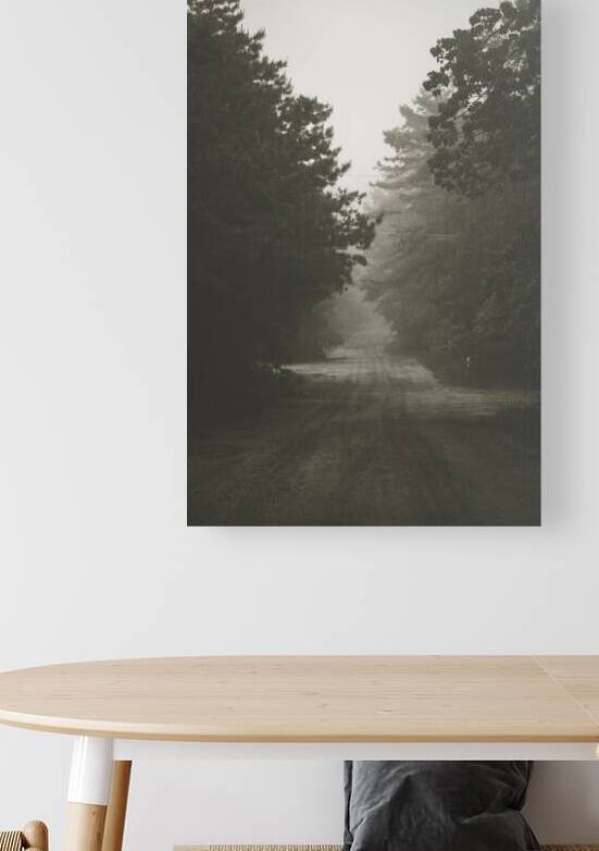 Foggy Road Reproduction