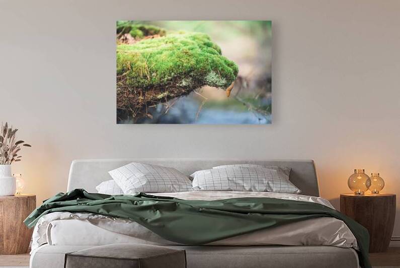 slug 2 by Amanda Drouin
