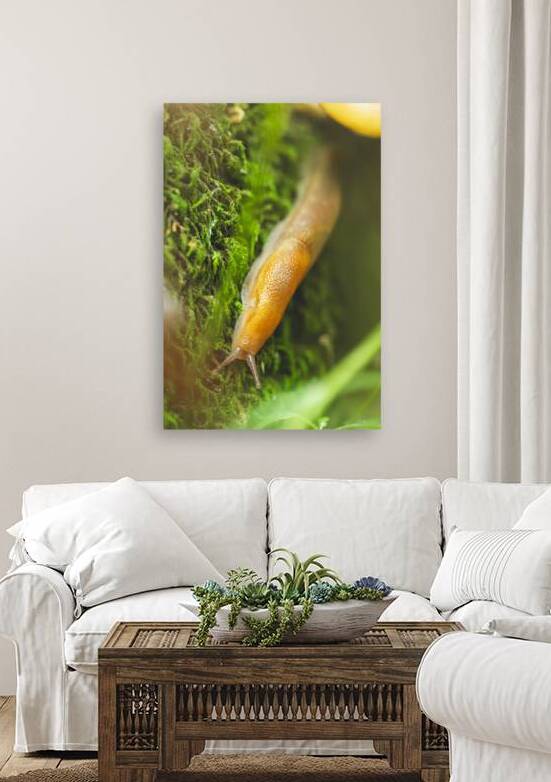 slug 1 by Amanda Drouin