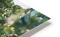  in the trees HD Metal print