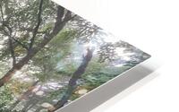 Komorebi HD Metal print