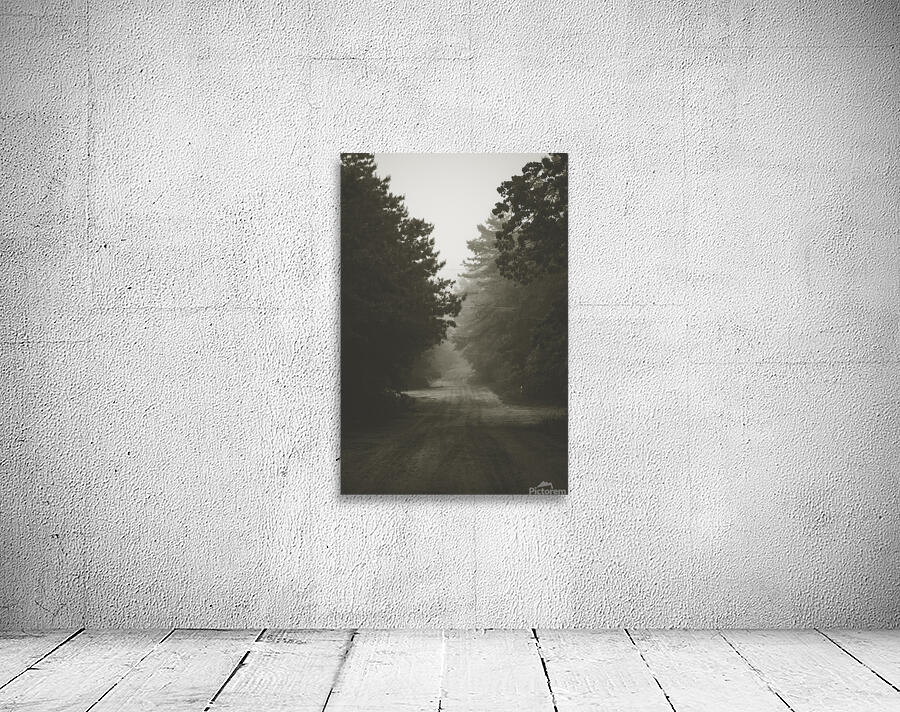 Foggy Road Wall Preview