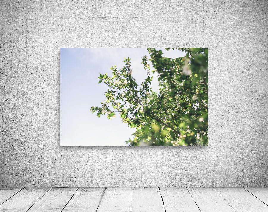  in the trees Wall Preview