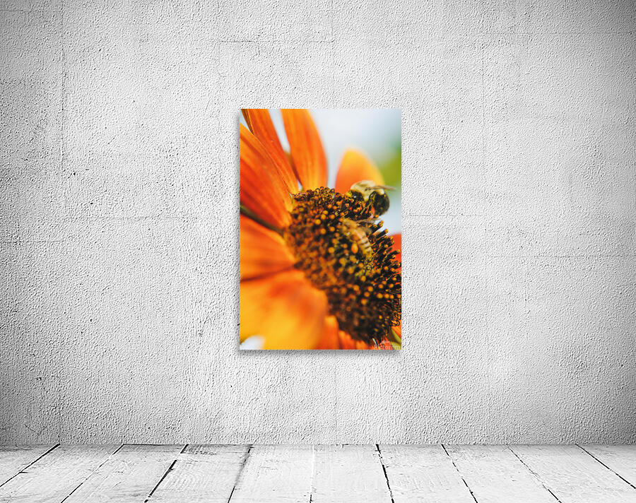 sunflower with bee Wall Preview