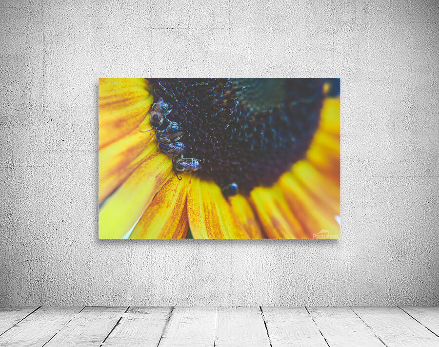 sleepy bees Wall Preview