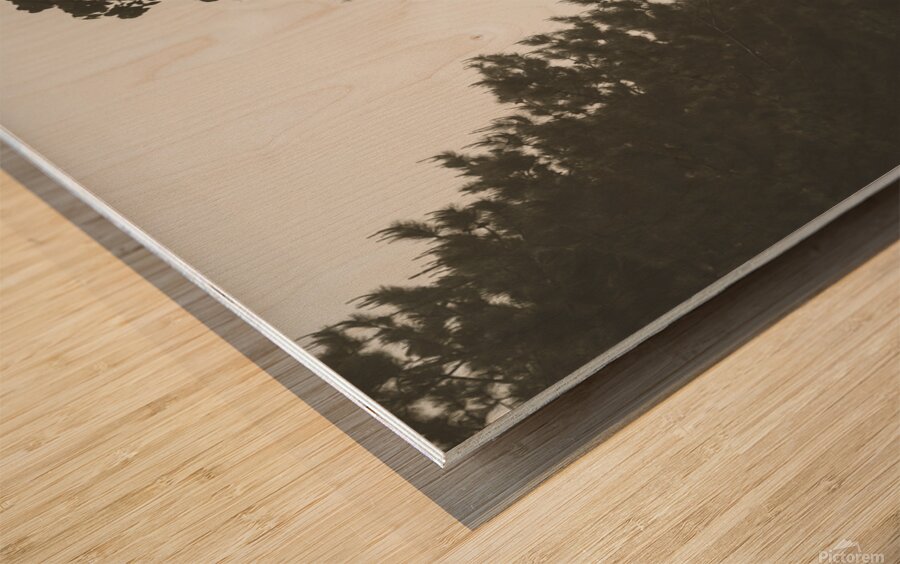 Foggy Road Wood print