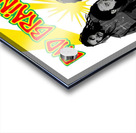 Bad Brains 34 Acrylic print