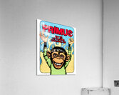 Primus 2 Acrylic Print