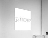 Primus 16 Acrylic Print